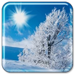 winter live wallpaper android application logo